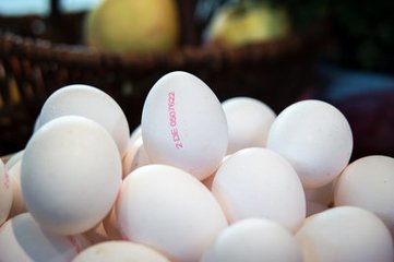 	女性養(yǎng)顏多吃蛋類(lèi)食品