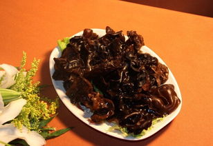 清肺食譜去除五臟六腑的垃圾